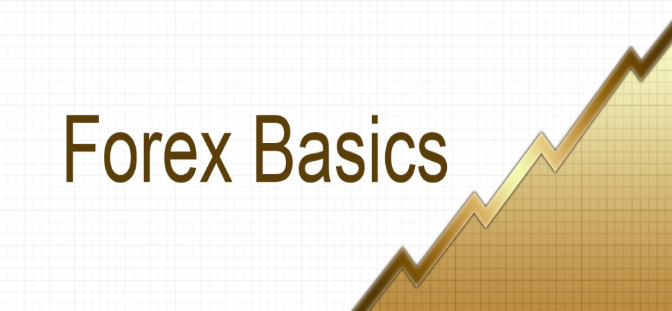 What is Forex: The Basics