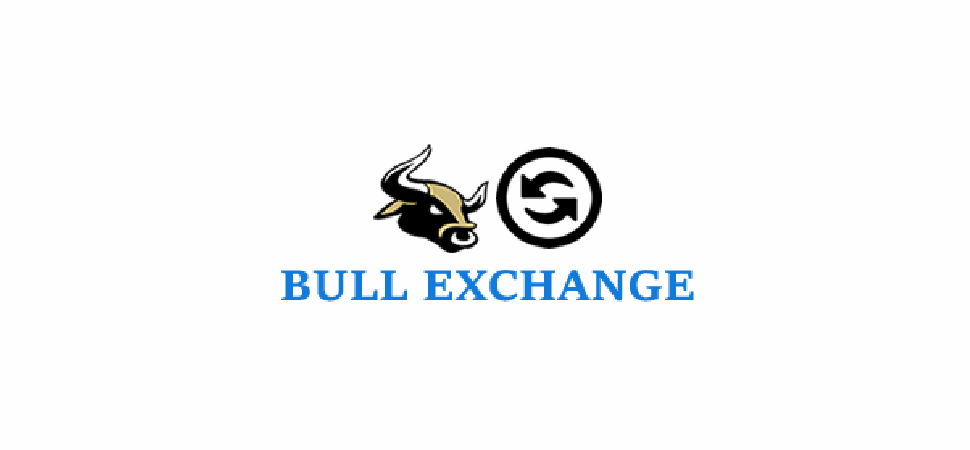 BullsExchanger.com: Exploring a new currency exchange platform