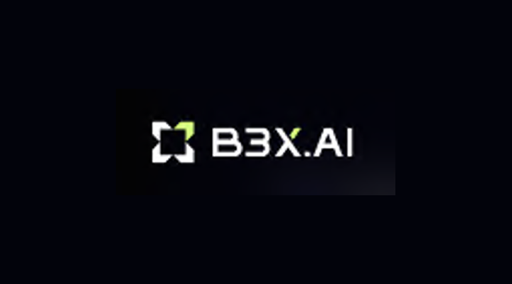 B3X
